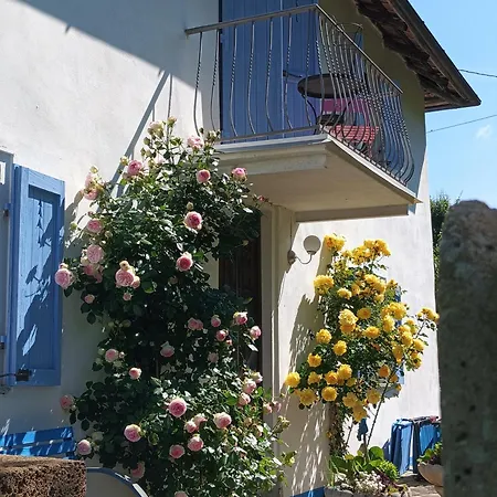 Casa Bianca Azzurra Con Piscina Niella Belbo